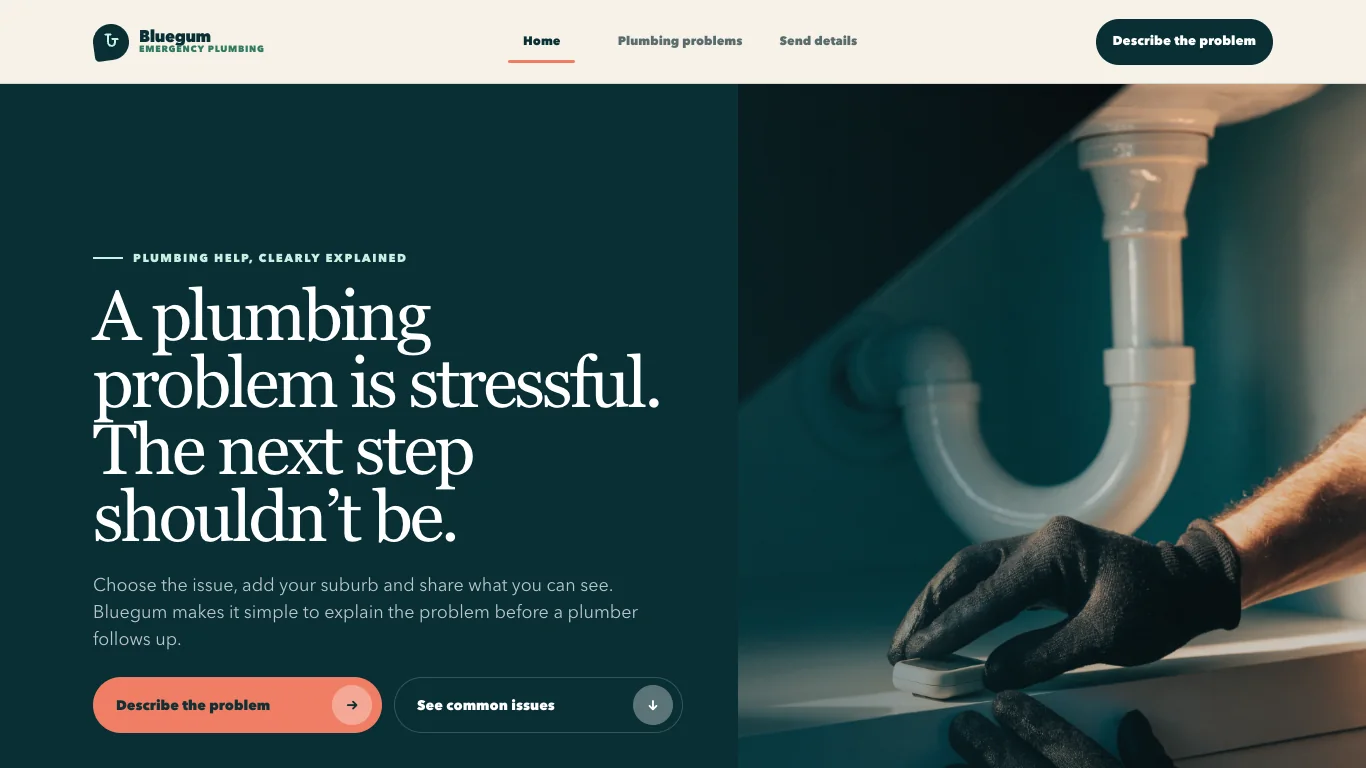 Enlarged website example